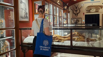Erasmus - Parma: muzeum